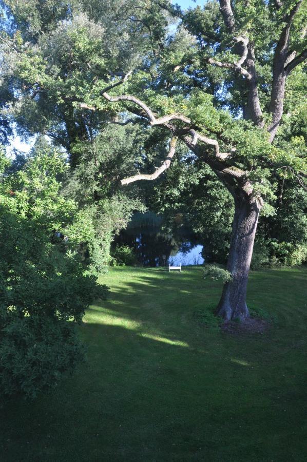 Gartenzimmer Im Schloss Neuhausen Neuhausen  Bagian luar foto