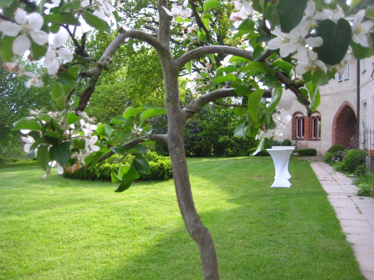 Gartenzimmer Im Schloss Neuhausen Neuhausen  Bagian luar foto