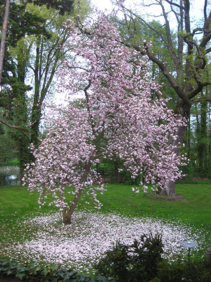 Gartenzimmer Im Schloss Neuhausen Neuhausen  Bagian luar foto