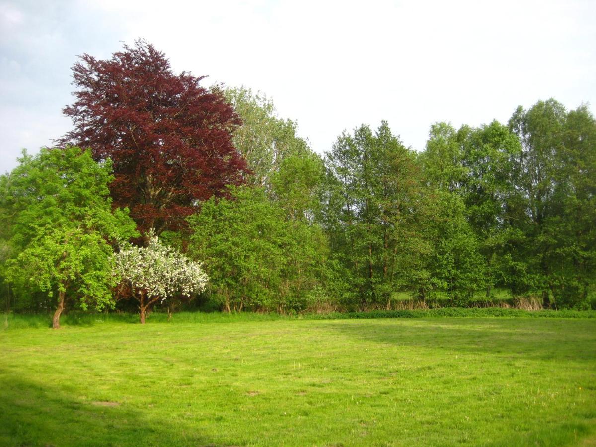 Gartenzimmer Im Schloss Neuhausen Neuhausen  Bagian luar foto