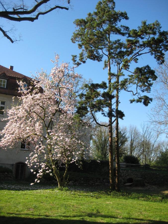 Gartenzimmer Im Schloss Neuhausen Neuhausen  Bagian luar foto